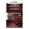 ZETA FARMACEUTICI SpA EUPHIDRA COLORPRO XD566 CASTANO CHIARO-ROSSO