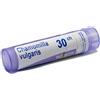 BOIRON Srl CHAMOMILLA VULGARIS 30CH 80GR