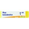 BOIRON Srl RHUS TOXICODENDRON*1000K GR 1G