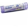 BOIRON Srl LYCOPODIUM CLAVATUM*30CH 80GR