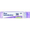 BOIRON Srl RHUS TOXICODENDRON*30CH 80GR4G
