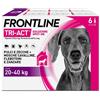 BOEHRINGER ING.ANIM.H.IT.SpA FRONTLINE TRI-ACT 6PIP 4M 20-40K