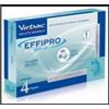 VIRBAC Srl EFFIPRO SPOTON 4PIP GATTO