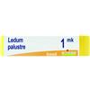 BOIRON Srl BO.LEDUM PALUSTRE MK GL