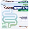 POOL PHARMA Srl Trio carbone Gonfiore IBS Colon 10 Bustine