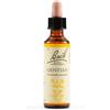 SCHWABE PHARMA ITALIA Srl GENTIAN BACH ORIG 20ML