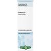 ERBA VITA GROUP SpA GINKGO BILOBA Sol.Ial.50ml