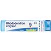BOIRON Srl RHODODENDRON CH 9CH GR BO