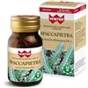GDP Srl-GENERAL DIETET.PHARMA SPACCAPIETRA 30CPR WINTER