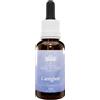 BUSH BIOTHERAPIES Pty Ltd CAREGIVER 30ML