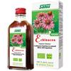 SALUS HAUS Gmbh & Co KG Salus - Echinacea Succo 200 ml - Integratore Per Le Difese Immunitarie