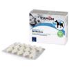 CAMON SpA IMMODULA 60CPR