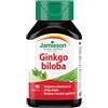 BIOVITA Srl GINKGO BILOBA 120 TM 90 CPR