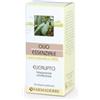 FARMADERBE Srl FARMADERBE OLIO ESS EUCALIPTO