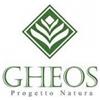 GHEOS Srl Gheos MSM Funzionale Integratore Alimentare 120 Capsule