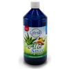 LIFE 120 ITALIA Srl Aloe Spice - Life 120 - 1 Litro