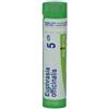 BOIRON Srl Boiron Euphrasia Officinalis 5CH Granuli Tubo
