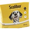 MSD ANIMAL HEALTH Srl SCALIBOR PROTECTOR BAND 65CM