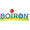BOIRON Srl Boiron China Rubra 200CH Globuli Tubo