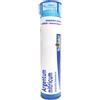 BOIRON Srl Boiron Argentum Nitricum 5CH Granuli Tubo