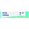BOIRON Srl Boiron Arnica Montana 7CH Globuli Tubo