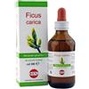 KOS Srl FICUS CARICA MG 100ML GOCCE