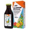 SALUS HAUS Gmbh & Co KG Salus Saludynam Mineral-Drink 250 ml