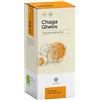 GHEOS Srl CHAGA GHEOS 60CPS 750MG
