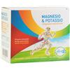 LIFE 120 ITALIA Srl Magnesio e Potassio 30 bustine