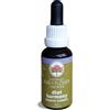BUSH BIOTHERAPIES Pty Ltd Australian Bush Flower Essences Diet Harmony 30ml