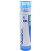 BOIRON Srl Boiron Influenzinum 9CH Globuli Tubo