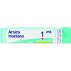 BOIRON Srl ARNICA MONTANA MK GR