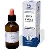 SARANDREA MARCO &C. Srl Sarandrea Marco - Gemmoderivato Ficus Carica 100 ml