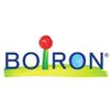 BOIRON Srl Boiron Sabal Serrulata 30CH Granuli Tubo