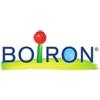 BOIRON Srl Boiron Pyrogenium 200CH Globuli Tubo