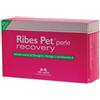 N.B.F. LANES Srl Nbn Lanes Ribes Pet Recovery Integratore Dermatite Cani E Gatti 60 Perle