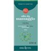ERBA VITA GROUP SpA Erba Vita Edera Olio Da Massaggio Idratante e Drenante 250 ml