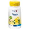 PHOENIX Srl - LONGLIFE LONGLIFE TRIBULUS TERREST90CPS