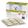 CAMON SpA Orme Naturali Hybrid Integratore Epifora Cani E Gatti 60 Compresse