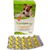 AURORA LICENSING Srl Cortipet Perle Maxi Integratore Irritazioni Cutanee Veterinaria 60 Perle