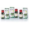 SPECCHIASOL Srl Specchiasol Gemmosol 24 Fico Gemmoderivati 50 ml