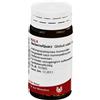WALA ITALIA Srl Wala Berberis Quarz Medicinale Omeopatico Globuli 20 g