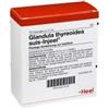 GUNA SpA Guna Heel Glandula thyreoidea suis-injeel 10 Fiale