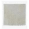 COLOPLAST SpA BIATAIN ALG MEDIC 15X15CM 10PZ