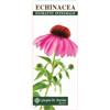 DR.GIORGINI SER-VIS Srl Dr. Giorgini Echinacea Estratto Integrale Integratore Difese Immunitarie 200 ml