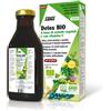 SALUS HAUS Gmbh & Co KG Salus Detox Bio Integratore 250 ml