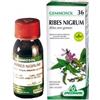 SPECCHIASOL Srl Specchiasol Gemmosol 36 Ribes Nero Integratore Vie Respiratorie 100 ml