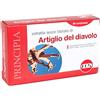 KOS Srl ARTIGLIO DIAVOLO ESTR SEC60CPR