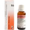 DR.RECKEWEG & CO. GmbH Dr. Reckeweg R6 Gocce Omeopatiche 22 ml