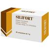 DDFARMA Srl Aurora Biofarma Silifort Integratore Fegato Cani e Gatti 30 Compresse